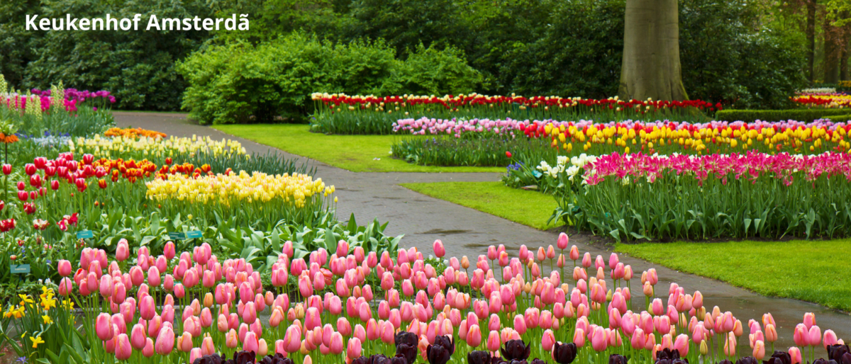 Keukenhof